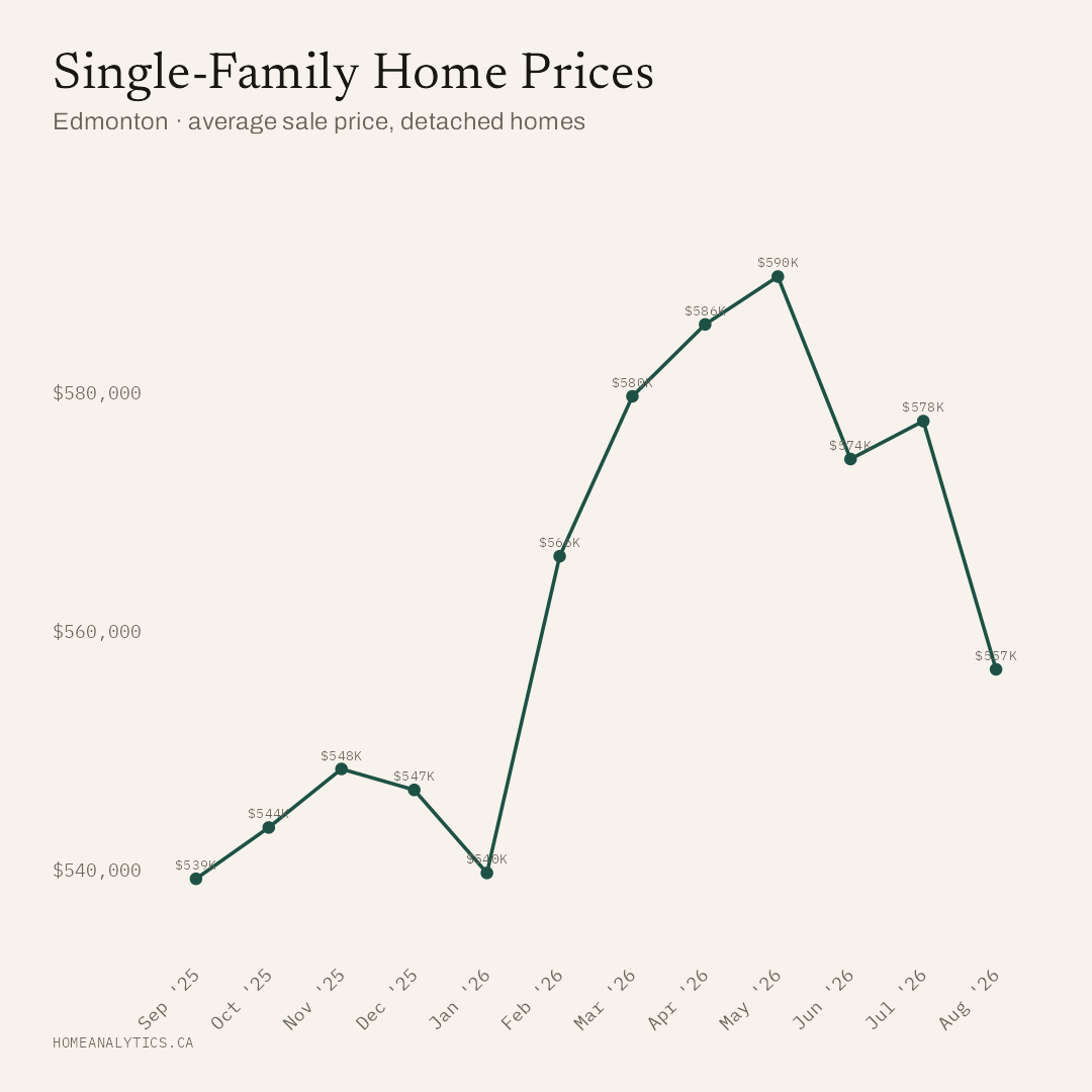 Line chart of the average single-family detached home price in Edmonton over 12 months, reaching $556,784 in August 2026.
